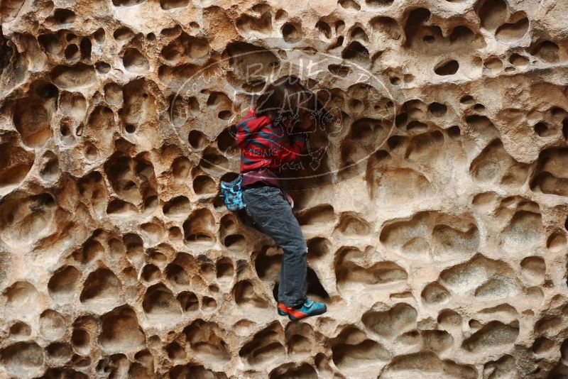 Bouldering in Hueco Tanks on 01/06/2019 with Blue Lizard Climbing and Yoga

Filename: SRM_20190106_1144210.jpg
Aperture: f/4.0
Shutter Speed: 1/100
Body: Canon EOS-1D Mark II
Lens: Canon EF 50mm f/1.8 II