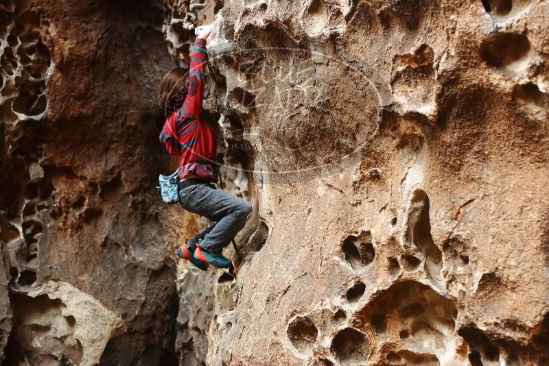 Bouldering in Hueco Tanks on 01/06/2019 with Blue Lizard Climbing and Yoga

Filename: SRM_20190106_1156471.jpg
Aperture: f/3.2
Shutter Speed: 1/125
Body: Canon EOS-1D Mark II
Lens: Canon EF 50mm f/1.8 II