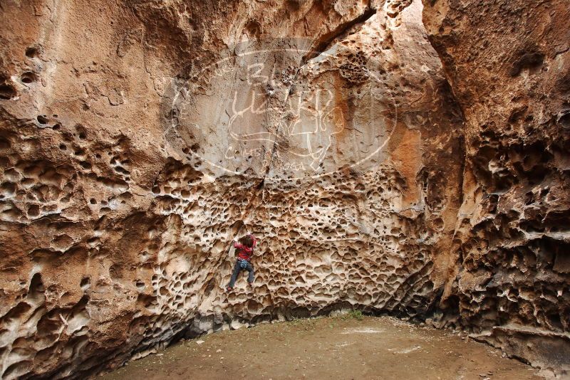 Bouldering in Hueco Tanks on 01/06/2019 with Blue Lizard Climbing and Yoga

Filename: SRM_20190106_1159280.jpg
Aperture: f/4.5
Shutter Speed: 1/100
Body: Canon EOS-1D Mark II
Lens: Canon EF 16-35mm f/2.8 L