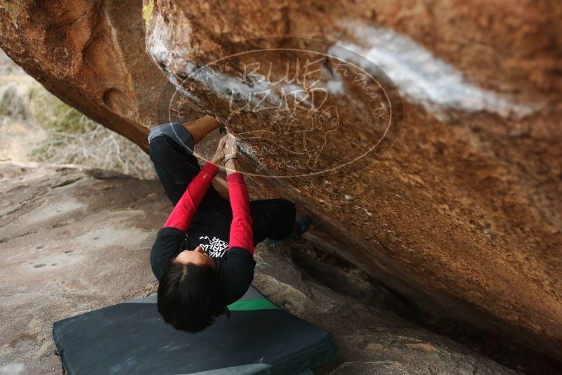 Bouldering in Hueco Tanks on 01/06/2019 with Blue Lizard Climbing and Yoga

Filename: SRM_20190106_1306120.jpg
Aperture: f/2.8
Shutter Speed: 1/320
Body: Canon EOS-1D Mark II
Lens: Canon EF 50mm f/1.8 II