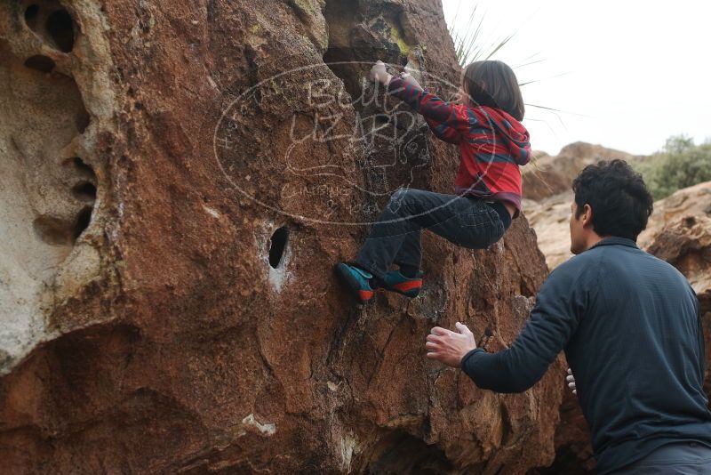 Bouldering in Hueco Tanks on 01/06/2019 with Blue Lizard Climbing and Yoga

Filename: SRM_20190106_1312000.jpg
Aperture: f/4.0
Shutter Speed: 1/640
Body: Canon EOS-1D Mark II
Lens: Canon EF 50mm f/1.8 II