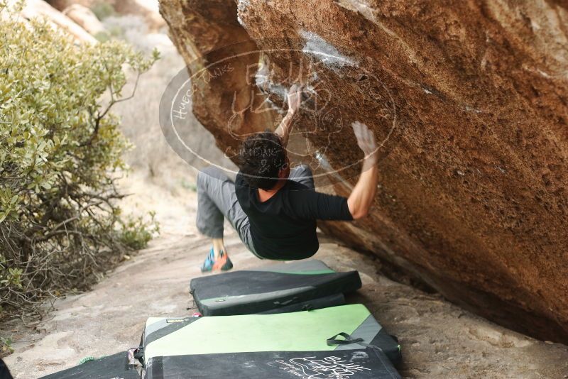 Bouldering in Hueco Tanks on 01/06/2019 with Blue Lizard Climbing and Yoga

Filename: SRM_20190106_1321211.jpg
Aperture: f/2.8
Shutter Speed: 1/250
Body: Canon EOS-1D Mark II
Lens: Canon EF 50mm f/1.8 II