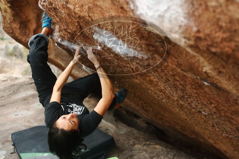 Bouldering in Hueco Tanks on 01/06/2019 with Blue Lizard Climbing and Yoga

Filename: SRM_20190106_1323270.jpg
Aperture: f/2.8
Shutter Speed: 1/250
Body: Canon EOS-1D Mark II
Lens: Canon EF 50mm f/1.8 II