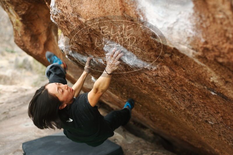 Bouldering in Hueco Tanks on 01/06/2019 with Blue Lizard Climbing and Yoga

Filename: SRM_20190106_1323280.jpg
Aperture: f/2.8
Shutter Speed: 1/250
Body: Canon EOS-1D Mark II
Lens: Canon EF 50mm f/1.8 II