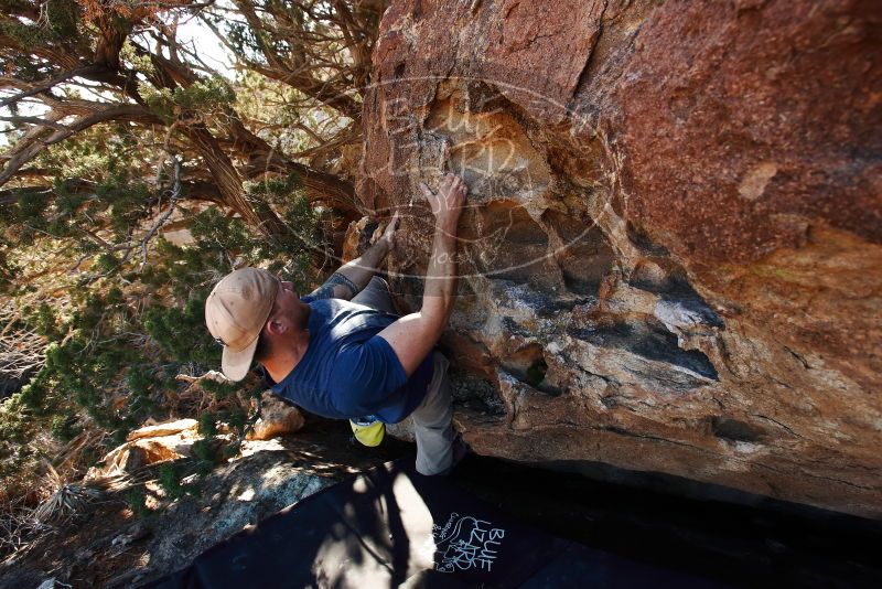 Bouldering in Hueco Tanks on 01/12/2019 with Blue Lizard Climbing and Yoga

Filename: SRM_20190112_1046520.jpg
Aperture: f/5.6
Shutter Speed: 1/250
Body: Canon EOS-1D Mark II
Lens: Canon EF 16-35mm f/2.8 L
