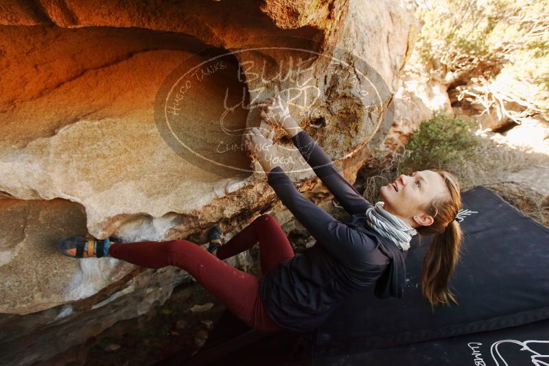 Bouldering in Hueco Tanks on 01/12/2019 with Blue Lizard Climbing and Yoga

Filename: SRM_20190112_1102260.jpg
Aperture: f/6.3
Shutter Speed: 1/200
Body: Canon EOS-1D Mark II
Lens: Canon EF 16-35mm f/2.8 L