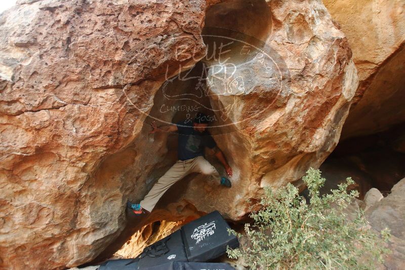 Bouldering in Hueco Tanks on 01/12/2019 with Blue Lizard Climbing and Yoga

Filename: SRM_20190112_1817070.jpg
Aperture: f/2.8
Shutter Speed: 1/80
Body: Canon EOS-1D Mark II
Lens: Canon EF 16-35mm f/2.8 L