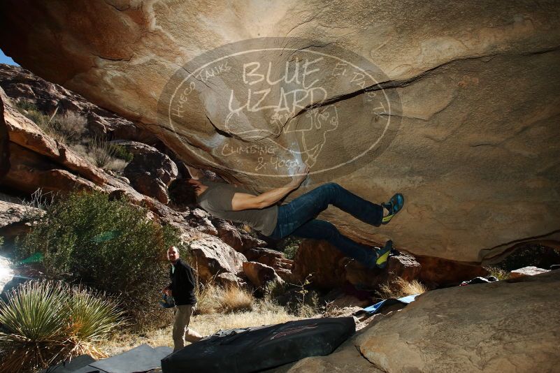 Bouldering in Hueco Tanks on 01/14/2019 with Blue Lizard Climbing and Yoga

Filename: SRM_20190114_1259420.jpg
Aperture: f/8.0
Shutter Speed: 1/250
Body: Canon EOS-1D Mark II
Lens: Canon EF 16-35mm f/2.8 L