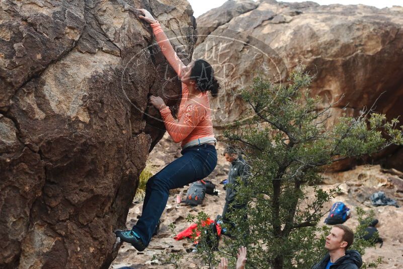 Bouldering in Hueco Tanks on 01/14/2019 with Blue Lizard Climbing and Yoga

Filename: SRM_20190114_1711150.jpg
Aperture: f/4.5
Shutter Speed: 1/250
Body: Canon EOS-1D Mark II
Lens: Canon EF 50mm f/1.8 II