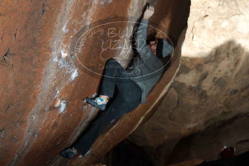 Bouldering in Hueco Tanks on 01/14/2019 with Blue Lizard Climbing and Yoga

Filename: SRM_20190114_1535090.jpg
Aperture: f/4.0
Shutter Speed: 1/250
Body: Canon EOS-1D Mark II
Lens: Canon EF 50mm f/1.8 II