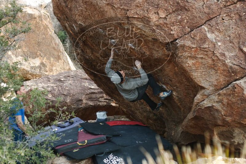 Bouldering in Hueco Tanks on 01/14/2019 with Blue Lizard Climbing and Yoga

Filename: SRM_20190114_1645220.jpg
Aperture: f/2.8
Shutter Speed: 1/320
Body: Canon EOS-1D Mark II
Lens: Canon EF 50mm f/1.8 II