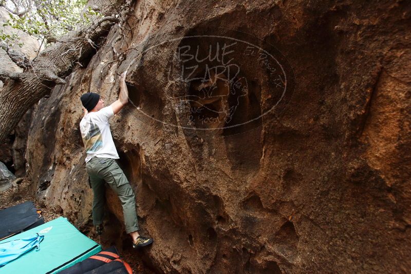 Bouldering in Hueco Tanks on 01/18/2019 with Blue Lizard Climbing and Yoga

Filename: SRM_20190118_1222370.jpg
Aperture: f/5.0
Shutter Speed: 1/100
Body: Canon EOS-1D Mark II
Lens: Canon EF 16-35mm f/2.8 L