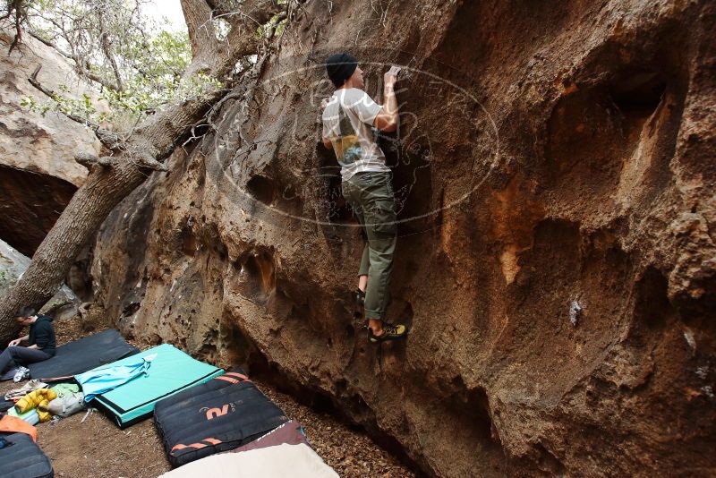 Bouldering in Hueco Tanks on 01/18/2019 with Blue Lizard Climbing and Yoga

Filename: SRM_20190118_1223000.jpg
Aperture: f/5.6
Shutter Speed: 1/100
Body: Canon EOS-1D Mark II
Lens: Canon EF 16-35mm f/2.8 L