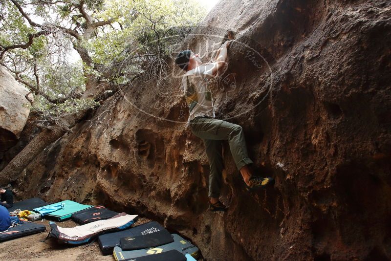 Bouldering in Hueco Tanks on 01/18/2019 with Blue Lizard Climbing and Yoga

Filename: SRM_20190118_1223340.jpg
Aperture: f/6.3
Shutter Speed: 1/100
Body: Canon EOS-1D Mark II
Lens: Canon EF 16-35mm f/2.8 L