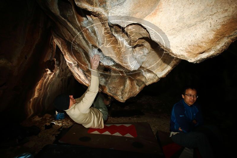Bouldering in Hueco Tanks on 01/18/2019 with Blue Lizard Climbing and Yoga

Filename: SRM_20190118_1459040.jpg
Aperture: f/8.0
Shutter Speed: 1/250
Body: Canon EOS-1D Mark II
Lens: Canon EF 16-35mm f/2.8 L