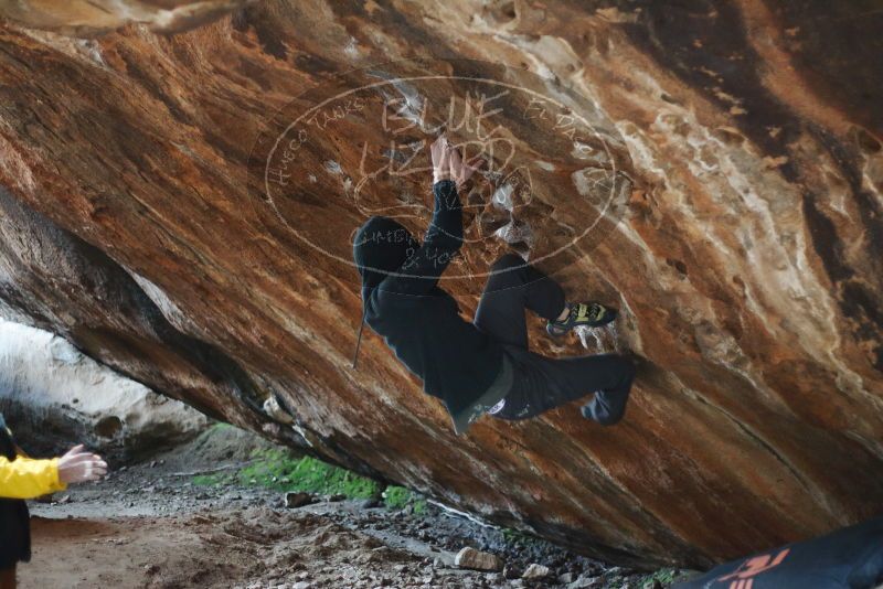 Bouldering in Hueco Tanks on 01/18/2019 with Blue Lizard Climbing and Yoga

Filename: SRM_20190118_1558230.jpg
Aperture: f/1.8
Shutter Speed: 1/80
Body: Canon EOS-1D Mark II
Lens: Canon EF 50mm f/1.8 II