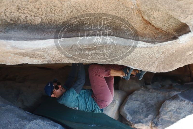 Bouldering in Hueco Tanks on 01/19/2019 with Blue Lizard Climbing and Yoga

Filename: SRM_20190119_1120090.jpg
Aperture: f/3.5
Shutter Speed: 1/500
Body: Canon EOS-1D Mark II
Lens: Canon EF 50mm f/1.8 II