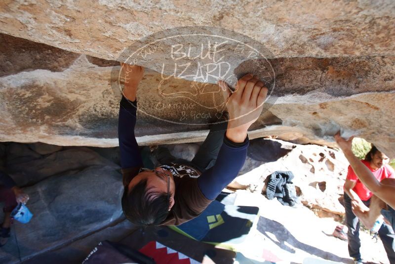 Bouldering in Hueco Tanks on 01/19/2019 with Blue Lizard Climbing and Yoga

Filename: SRM_20190119_1135360.jpg
Aperture: f/5.6
Shutter Speed: 1/250
Body: Canon EOS-1D Mark II
Lens: Canon EF 16-35mm f/2.8 L