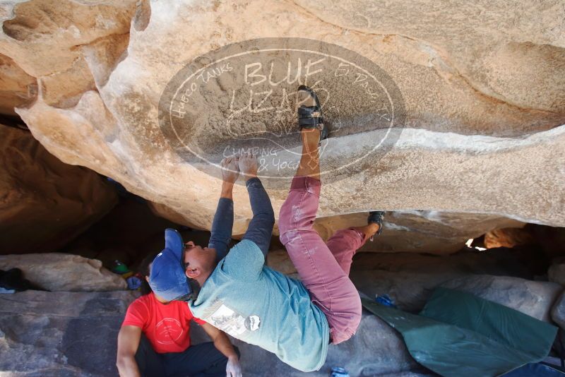 Bouldering in Hueco Tanks on 01/19/2019 with Blue Lizard Climbing and Yoga

Filename: SRM_20190119_1140580.jpg
Aperture: f/5.0
Shutter Speed: 1/250
Body: Canon EOS-1D Mark II
Lens: Canon EF 16-35mm f/2.8 L