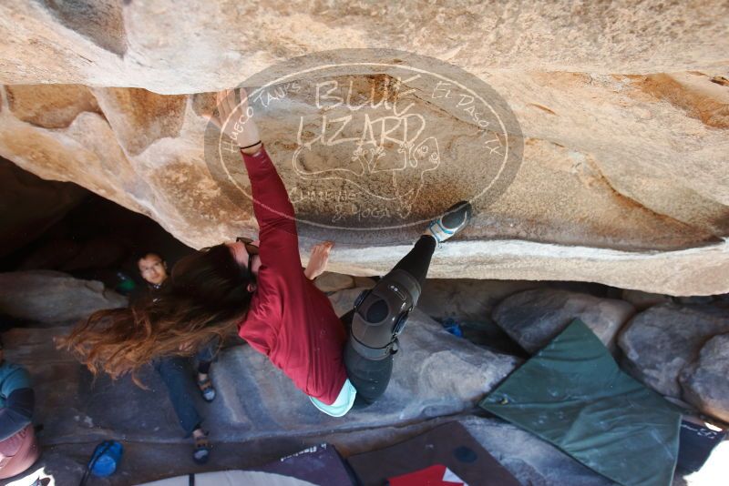 Bouldering in Hueco Tanks on 01/19/2019 with Blue Lizard Climbing and Yoga

Filename: SRM_20190119_1155020.jpg
Aperture: f/4.5
Shutter Speed: 1/320
Body: Canon EOS-1D Mark II
Lens: Canon EF 16-35mm f/2.8 L