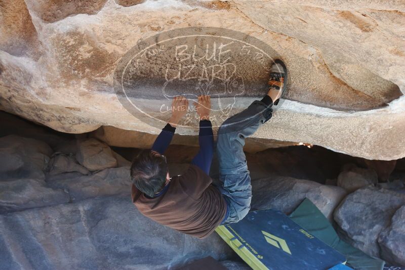 Bouldering in Hueco Tanks on 01/19/2019 with Blue Lizard Climbing and Yoga

Filename: SRM_20190119_1202070.jpg
Aperture: f/5.0
Shutter Speed: 1/250
Body: Canon EOS-1D Mark II
Lens: Canon EF 16-35mm f/2.8 L