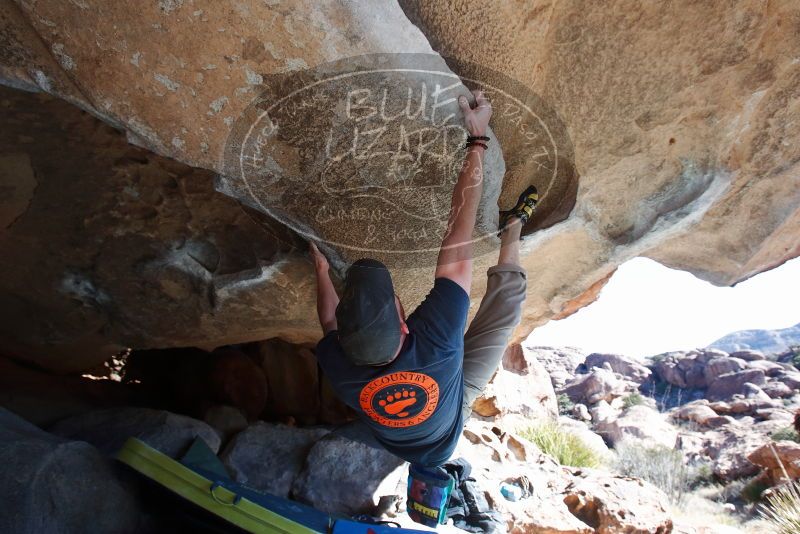 Bouldering in Hueco Tanks on 01/19/2019 with Blue Lizard Climbing and Yoga
Filename: SRM_20190119_1206080.jpg
Aperture: f/6.3
Shutter Speed: 1/250
Body: Canon EOS-1D Mark II
Lens: Canon EF 16-35mm f/2.8 L