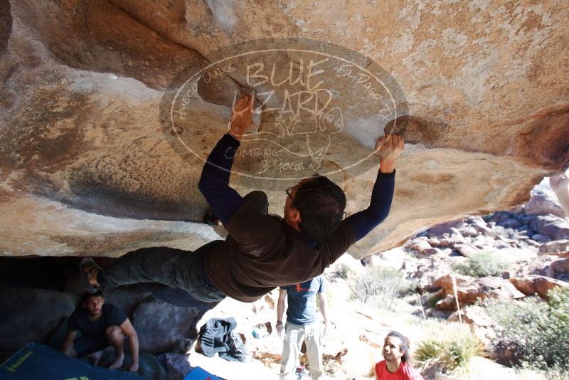 Bouldering in Hueco Tanks on 01/19/2019 with Blue Lizard Climbing and Yoga

Filename: SRM_20190119_1225280.jpg
Aperture: f/5.6
Shutter Speed: 1/320
Body: Canon EOS-1D Mark II
Lens: Canon EF 16-35mm f/2.8 L