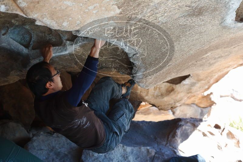 Bouldering in Hueco Tanks on 01/19/2019 with Blue Lizard Climbing and Yoga

Filename: SRM_20190119_1257560.jpg
Aperture: f/5.0
Shutter Speed: 1/250
Body: Canon EOS-1D Mark II
Lens: Canon EF 50mm f/1.8 II