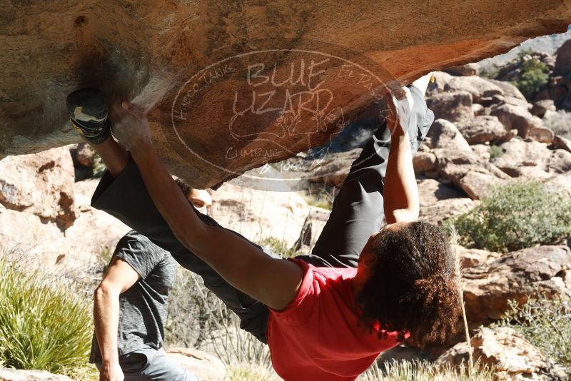 Bouldering in Hueco Tanks on 01/19/2019 with Blue Lizard Climbing and Yoga

Filename: SRM_20190119_1302550.jpg
Aperture: f/10.0
Shutter Speed: 1/250
Body: Canon EOS-1D Mark II
Lens: Canon EF 50mm f/1.8 II