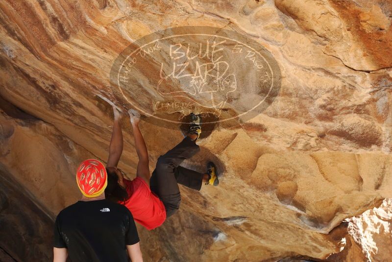 Bouldering in Hueco Tanks on 01/19/2019 with Blue Lizard Climbing and Yoga

Filename: SRM_20190119_1442580.jpg
Aperture: f/4.5
Shutter Speed: 1/320
Body: Canon EOS-1D Mark II
Lens: Canon EF 50mm f/1.8 II