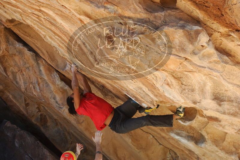 Bouldering in Hueco Tanks on 01/19/2019 with Blue Lizard Climbing and Yoga

Filename: SRM_20190119_1509460.jpg
Aperture: f/4.0
Shutter Speed: 1/400
Body: Canon EOS-1D Mark II
Lens: Canon EF 50mm f/1.8 II
