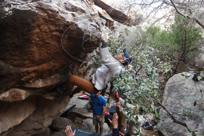 Bouldering in Hueco Tanks on 01/20/2019 with Blue Lizard Climbing and Yoga

Filename: SRM_20190120_1043400.jpg
Aperture: f/4.0
Shutter Speed: 1/200
Body: Canon EOS-1D Mark II
Lens: Canon EF 16-35mm f/2.8 L
