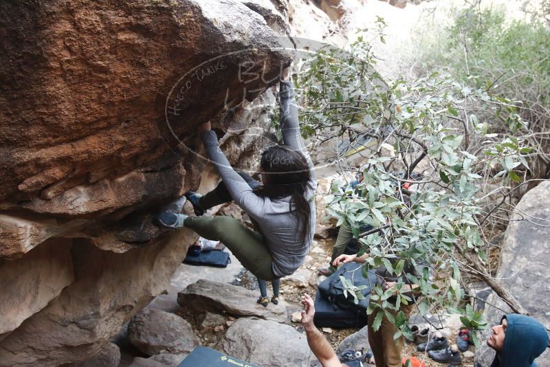 Bouldering in Hueco Tanks on 01/20/2019 with Blue Lizard Climbing and Yoga

Filename: SRM_20190120_1051420.jpg
Aperture: f/4.5
Shutter Speed: 1/160
Body: Canon EOS-1D Mark II
Lens: Canon EF 16-35mm f/2.8 L