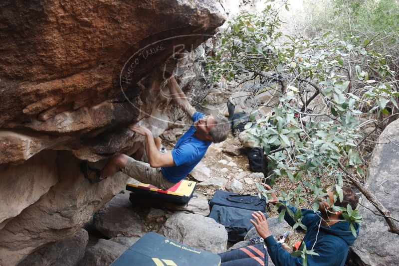 Bouldering in Hueco Tanks on 01/20/2019 with Blue Lizard Climbing and Yoga

Filename: SRM_20190120_1052500.jpg
Aperture: f/4.5
Shutter Speed: 1/160
Body: Canon EOS-1D Mark II
Lens: Canon EF 16-35mm f/2.8 L