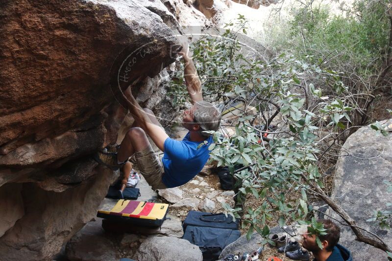 Bouldering in Hueco Tanks on 01/20/2019 with Blue Lizard Climbing and Yoga

Filename: SRM_20190120_1052590.jpg
Aperture: f/5.0
Shutter Speed: 1/160
Body: Canon EOS-1D Mark II
Lens: Canon EF 16-35mm f/2.8 L