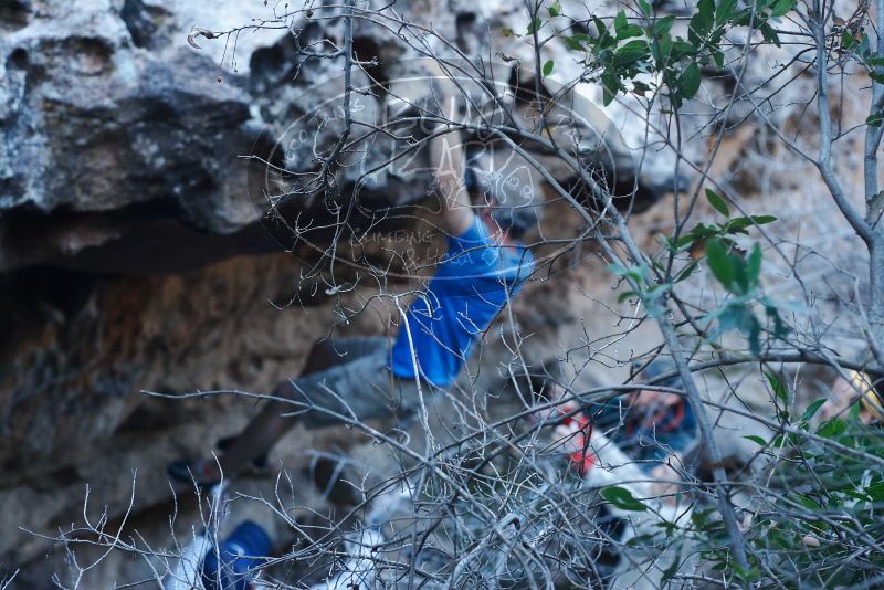 Bouldering in Hueco Tanks on 01/20/2019 with Blue Lizard Climbing and Yoga

Filename: SRM_20190120_1126090.jpg
Aperture: f/4.0
Shutter Speed: 1/200
Body: Canon EOS-1D Mark II
Lens: Canon EF 50mm f/1.8 II