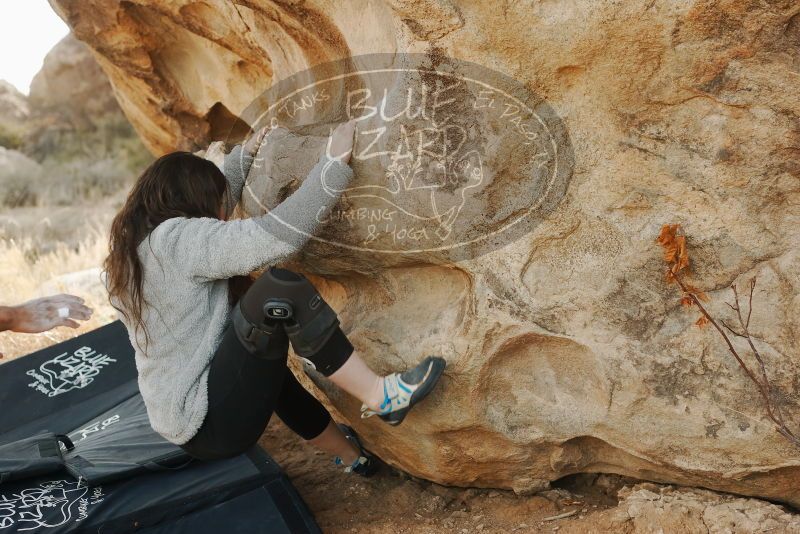 Bouldering in Hueco Tanks on 01/21/2019 with Blue Lizard Climbing and Yoga

Filename: SRM_20190121_1041380.jpg
Aperture: f/3.5
Shutter Speed: 1/320
Body: Canon EOS-1D Mark II
Lens: Canon EF 50mm f/1.8 II