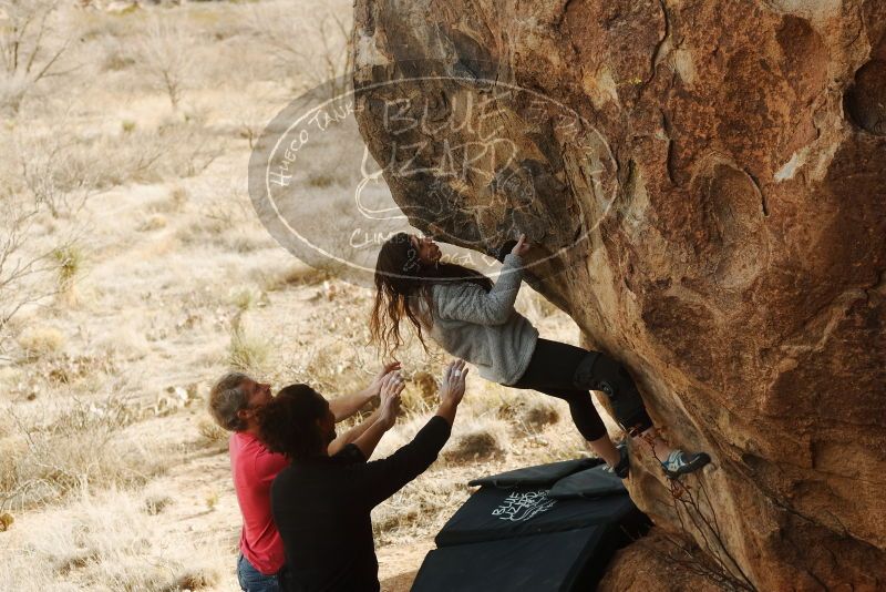 Bouldering in Hueco Tanks on 01/21/2019 with Blue Lizard Climbing and Yoga

Filename: SRM_20190121_1042550.jpg
Aperture: f/4.5
Shutter Speed: 1/320
Body: Canon EOS-1D Mark II
Lens: Canon EF 50mm f/1.8 II