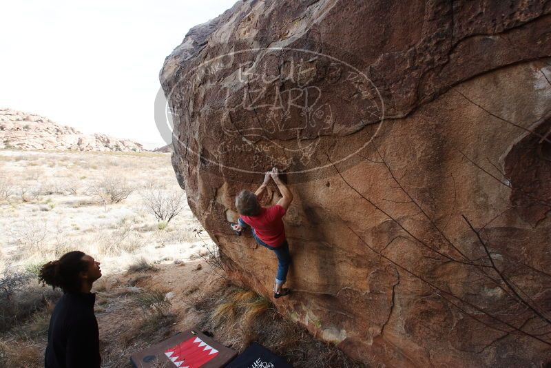 Bouldering in Hueco Tanks on 01/21/2019 with Blue Lizard Climbing and Yoga

Filename: SRM_20190121_1122080.jpg
Aperture: f/7.1
Shutter Speed: 1/250
Body: Canon EOS-1D Mark II
Lens: Canon EF 16-35mm f/2.8 L
