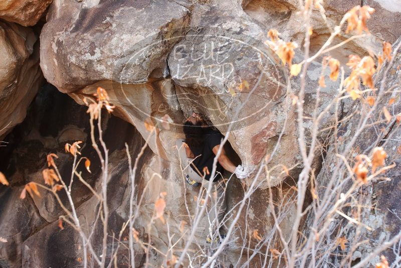 Bouldering in Hueco Tanks on 01/21/2019 with Blue Lizard Climbing and Yoga

Filename: SRM_20190121_1236220.jpg
Aperture: f/5.0
Shutter Speed: 1/250
Body: Canon EOS-1D Mark II
Lens: Canon EF 16-35mm f/2.8 L