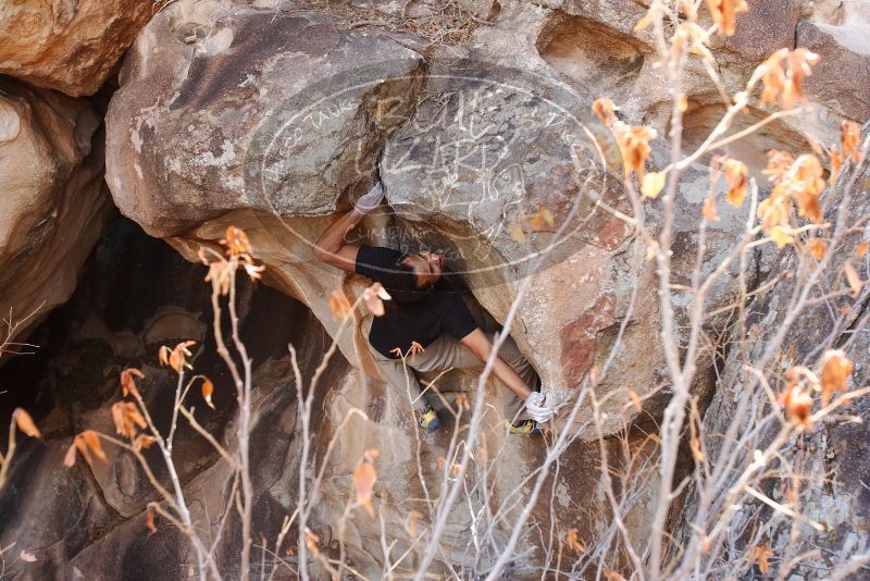 Bouldering in Hueco Tanks on 01/21/2019 with Blue Lizard Climbing and Yoga

Filename: SRM_20190121_1236290.jpg
Aperture: f/5.6
Shutter Speed: 1/250
Body: Canon EOS-1D Mark II
Lens: Canon EF 16-35mm f/2.8 L