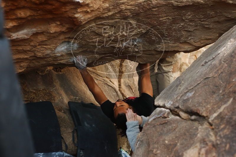 Bouldering in Hueco Tanks on 01/21/2019 with Blue Lizard Climbing and Yoga

Filename: SRM_20190121_1345050.jpg
Aperture: f/4.0
Shutter Speed: 1/250
Body: Canon EOS-1D Mark II
Lens: Canon EF 50mm f/1.8 II