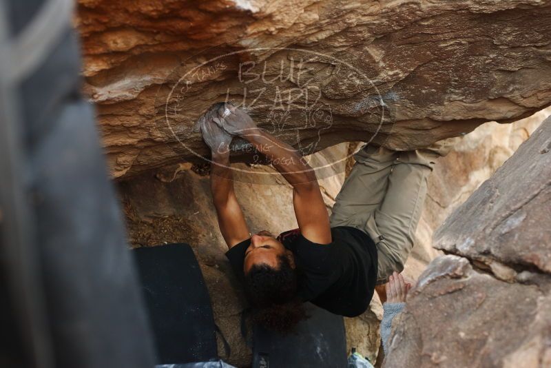 Bouldering in Hueco Tanks on 01/21/2019 with Blue Lizard Climbing and Yoga

Filename: SRM_20190121_1345090.jpg
Aperture: f/3.5
Shutter Speed: 1/250
Body: Canon EOS-1D Mark II
Lens: Canon EF 50mm f/1.8 II