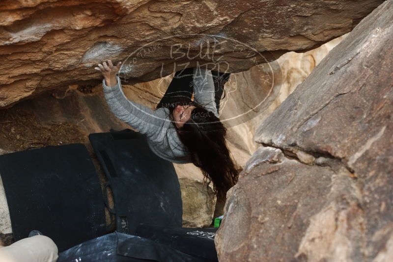 Bouldering in Hueco Tanks on 01/21/2019 with Blue Lizard Climbing and Yoga

Filename: SRM_20190121_1347150.jpg
Aperture: f/4.0
Shutter Speed: 1/250
Body: Canon EOS-1D Mark II
Lens: Canon EF 50mm f/1.8 II