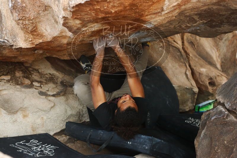Bouldering in Hueco Tanks on 01/21/2019 with Blue Lizard Climbing and Yoga

Filename: SRM_20190121_1348320.jpg
Aperture: f/5.0
Shutter Speed: 1/250
Body: Canon EOS-1D Mark II
Lens: Canon EF 50mm f/1.8 II
