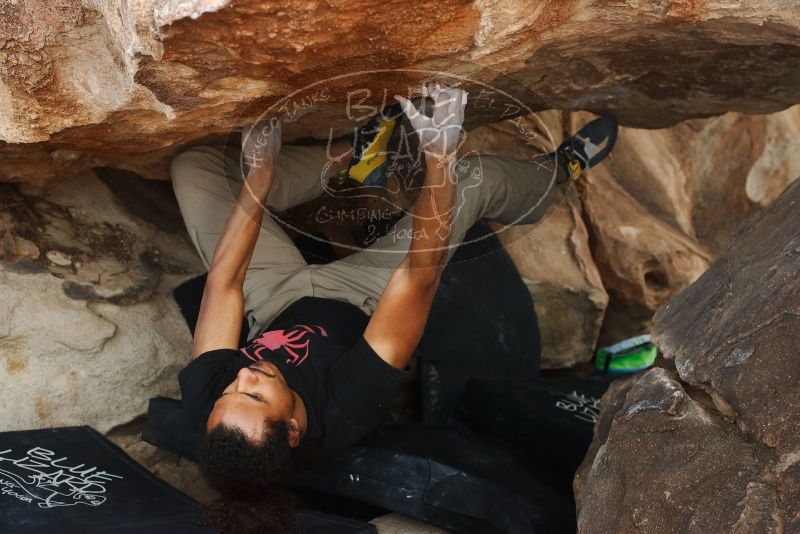Bouldering in Hueco Tanks on 01/21/2019 with Blue Lizard Climbing and Yoga

Filename: SRM_20190121_1348420.jpg
Aperture: f/5.0
Shutter Speed: 1/250
Body: Canon EOS-1D Mark II
Lens: Canon EF 50mm f/1.8 II