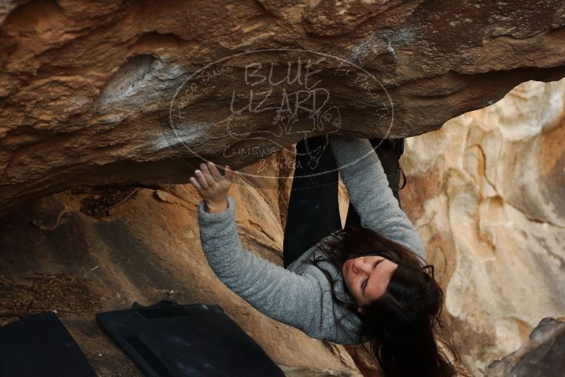 Bouldering in Hueco Tanks on 01/21/2019 with Blue Lizard Climbing and Yoga

Filename: SRM_20190121_1349160.jpg
Aperture: f/4.5
Shutter Speed: 1/250
Body: Canon EOS-1D Mark II
Lens: Canon EF 50mm f/1.8 II