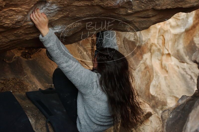 Bouldering in Hueco Tanks on 01/21/2019 with Blue Lizard Climbing and Yoga

Filename: SRM_20190121_1349210.jpg
Aperture: f/4.5
Shutter Speed: 1/250
Body: Canon EOS-1D Mark II
Lens: Canon EF 50mm f/1.8 II