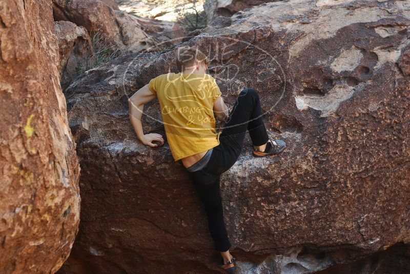 Bouldering in Hueco Tanks on 01/26/2019 with Blue Lizard Climbing and Yoga

Filename: SRM_20190126_1021310.jpg
Aperture: f/4.0
Shutter Speed: 1/250
Body: Canon EOS-1D Mark II
Lens: Canon EF 50mm f/1.8 II