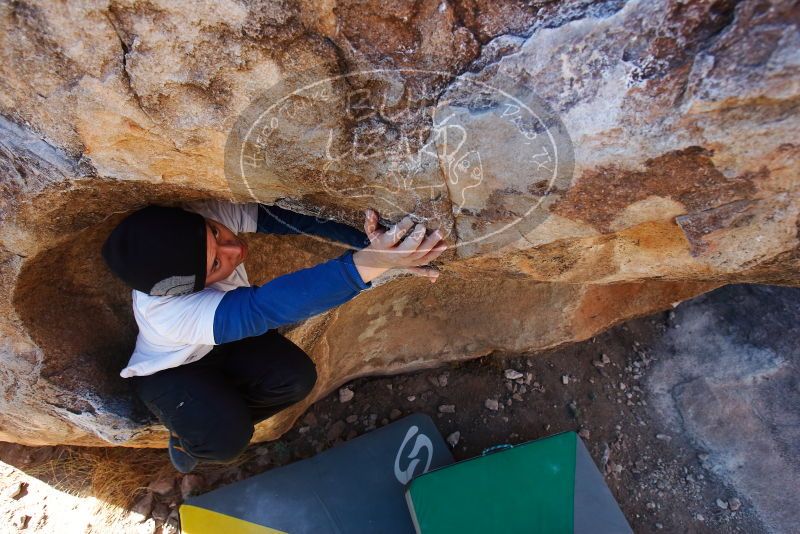 Bouldering in Hueco Tanks on 01/26/2019 with Blue Lizard Climbing and Yoga

Filename: SRM_20190126_1103300.jpg
Aperture: f/5.6
Shutter Speed: 1/250
Body: Canon EOS-1D Mark II
Lens: Canon EF 16-35mm f/2.8 L